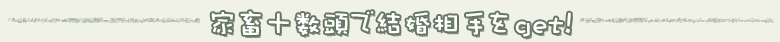 ƒ{\Ōget!!