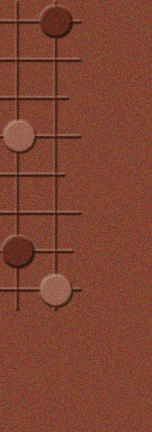 梅沢由香里の対局囲碁 平成棋院III／2001年1月19日発売／10,500