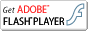 Get ADOBE FLASH(R)PLAYER